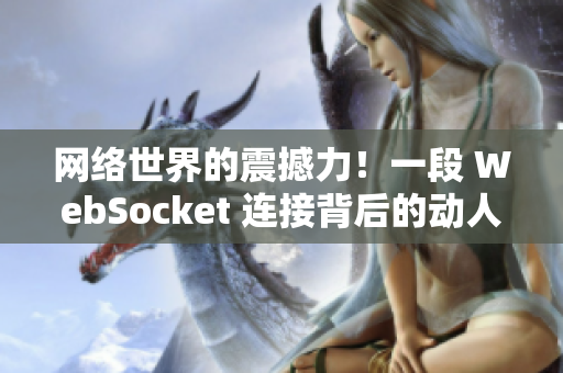 网络世界的震撼力！一段 WebSocket 连接背后的动人故事