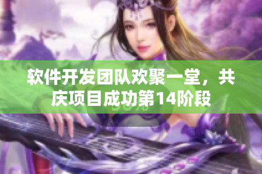 软件开发团队欢聚一堂，共庆项目成功第14阶段