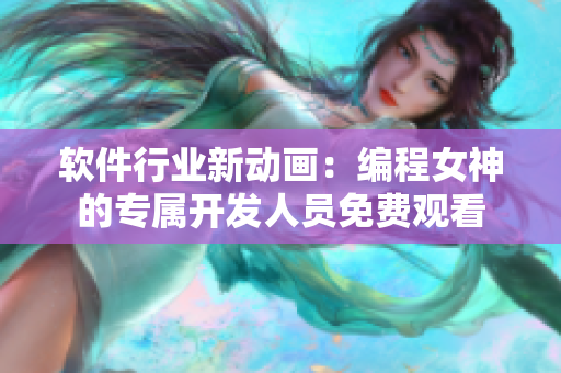 软件行业新动画：编程女神的专属开发人员免费观看