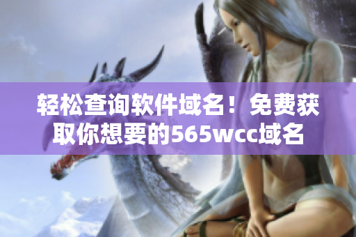 轻松查询软件域名！免费获取你想要的565wcc域名