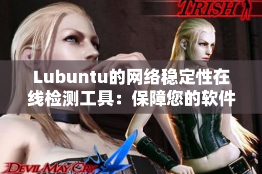 Lubuntu的网络稳定性在线检测工具：保障您的软件顺畅运行