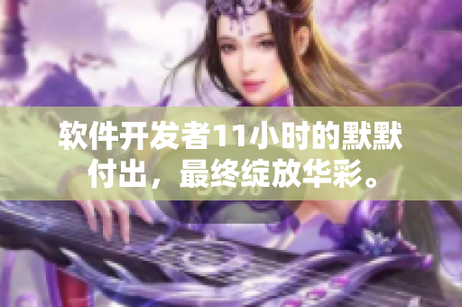 软件开发者11小时的默默付出，最终绽放华彩。