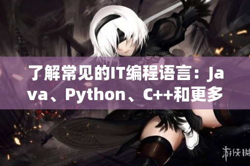 了解常见的IT编程语言：Java、Python、C++和更多！