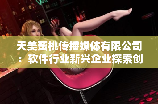 天美蜜桃传播媒体有限公司：软件行业新兴企业探索创新之路