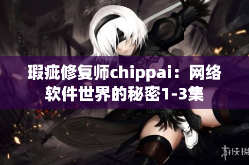 瑕疵修复师chippai：网络软件世界的秘密1-3集