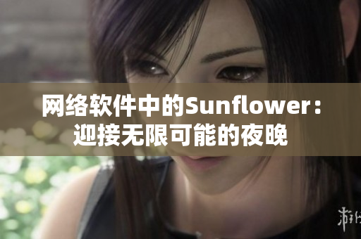 网络软件中的Sunflower：迎接无限可能的夜晚