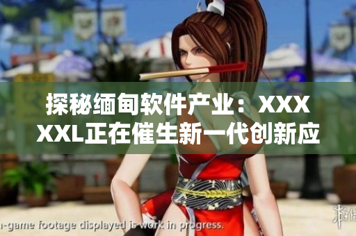 探秘缅甸软件产业：XXXXXL正在催生新一代创新应用