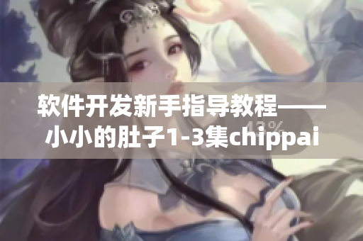 软件开发新手指导教程——小小的肚子1-3集chippai