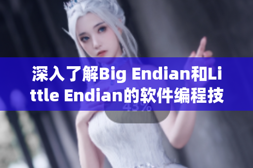 深入了解Big Endian和Little Endian的软件编程技巧