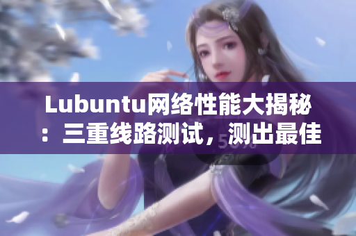 Lubuntu网络性能大揭秘：三重线路测试，测出最佳网络软件运行之路