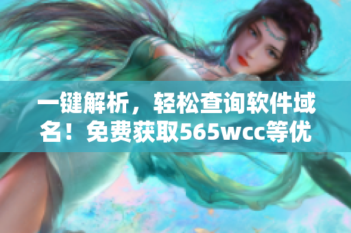 一键解析，轻松查询软件域名！免费获取565wcc等优质域名信息