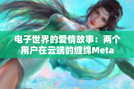 电子世界的爱情故事：两个用户在云端的缠绵Meta