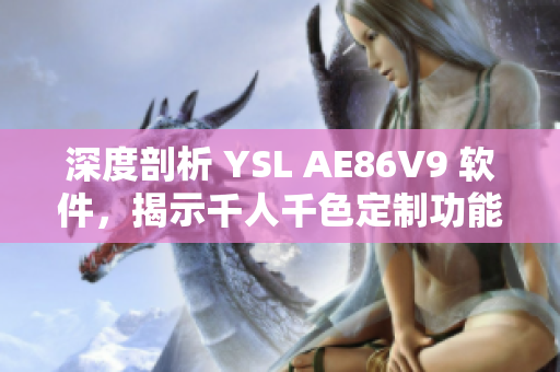 深度剖析 YSL AE86V9 软件，揭示千人千色定制功能