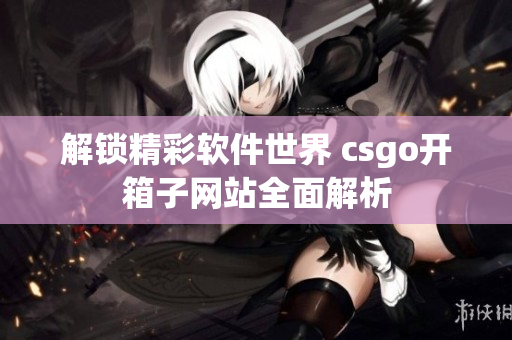 解锁精彩软件世界 csgo开箱子网站全面解析