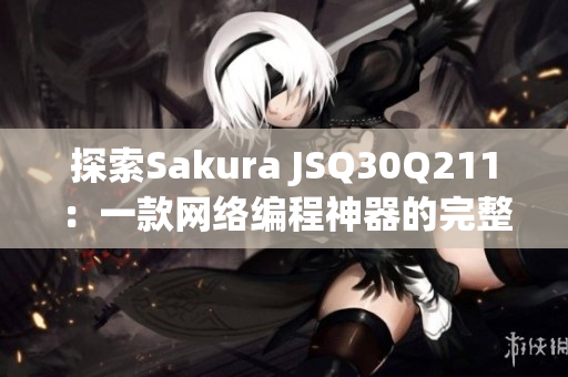 探索Sakura JSQ30Q211：一款网络编程神器的完整评估