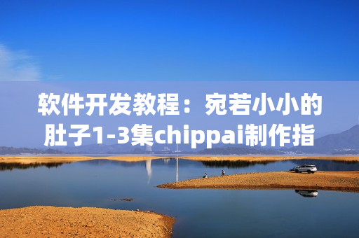 软件开发教程：宛若小小的肚子1-3集chippai制作指南