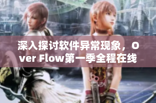 深入探讨软件异常现象，Over Flow第一季全程在线观看