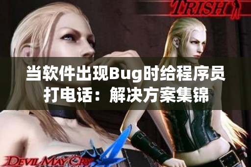 当软件出现Bug时给程序员打电话：解决方案集锦