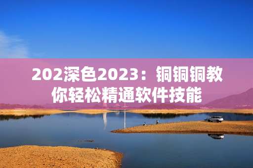 202深色2023：铜铜铜教你轻松精通软件技能