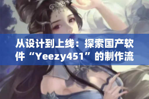 从设计到上线：探索国产软件“Yeezy451”的制作流程