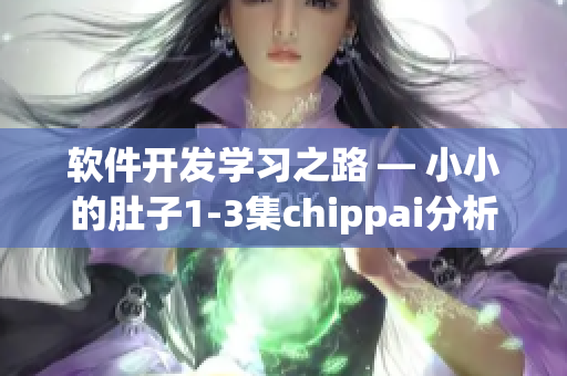 软件开发学习之路 — 小小的肚子1-3集chippai分析