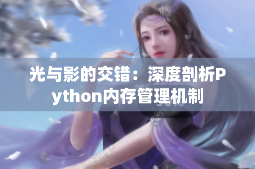 光与影的交错：深度剖析Python内存管理机制