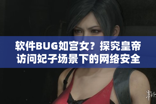 软件BUG如宫女？探究皇帝访问妃子场景下的网络安全问题