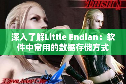 深入了解Little Endian：软件中常用的数据存储方式