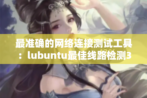 最准确的网络连接测试工具：lubuntu最佳线路检测3