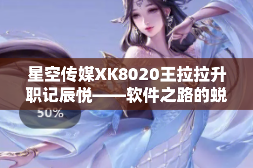 星空传媒XK8020王拉拉升职记辰悦——软件之路的蜕变历程