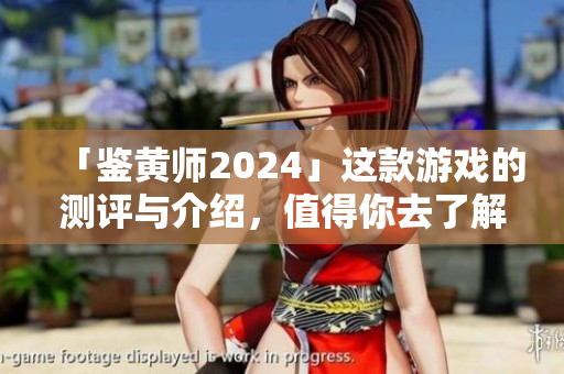 「鉴黄师2024」这款游戏的测评与介绍，值得你去了解！