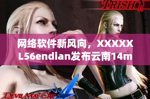 网络软件新风向，XXXXXL56endian发布云南14may18软件