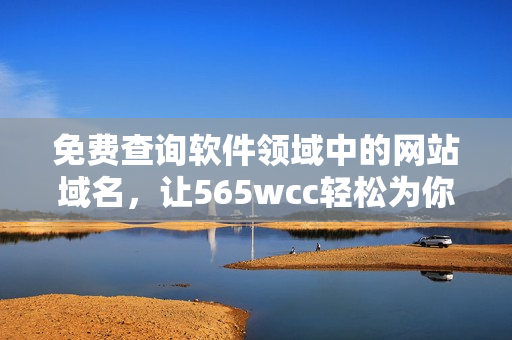 免费查询软件领域中的网站域名，让565wcc轻松为你服务