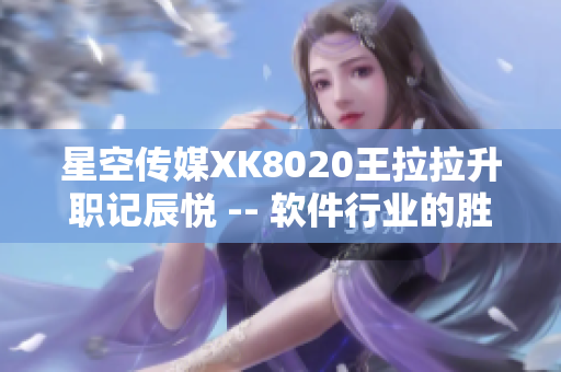 星空传媒XK8020王拉拉升职记辰悦 -- 软件行业的胜利征程