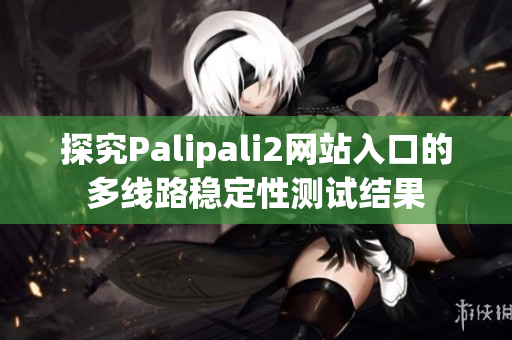 探究Palipali2网站入口的多线路稳定性测试结果