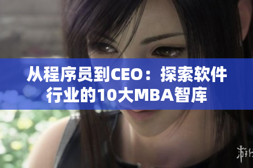 从程序员到CEO：探索软件行业的10大MBA智库