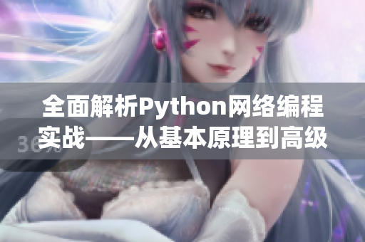 全面解析Python网络编程实战——从基本原理到高级实现