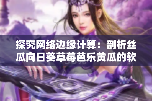 探究网络边缘计算：剖析丝瓜向日葵草莓芭乐黄瓜的软件支持