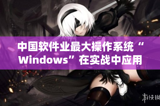 中国软件业最大操作系统“Windows”在实战中应用全记载