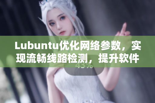 Lubuntu优化网络参数，实现流畅线路检测，提升软件稳定性