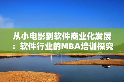 从小电影到软件商业化发展：软件行业的MBA培训探究