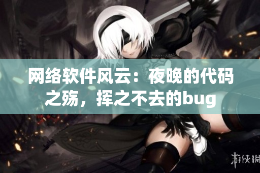 网络软件风云：夜晚的代码之殇，挥之不去的bug