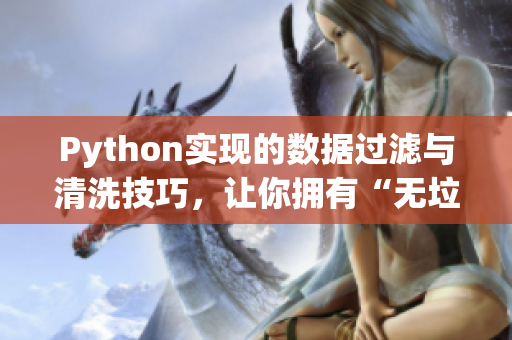 Python实现的数据过滤与清洗技巧，让你拥有“无垃圾数据池”的能力！