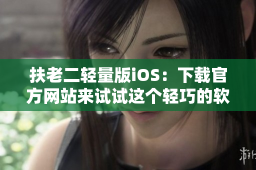 扶老二轻量版iOS：下载官方网站来试试这个轻巧的软件