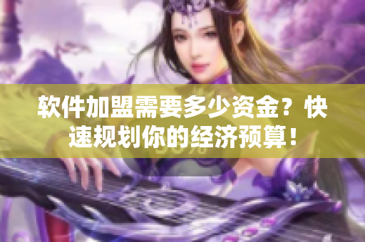 软件加盟需要多少资金？快速规划你的经济预算！