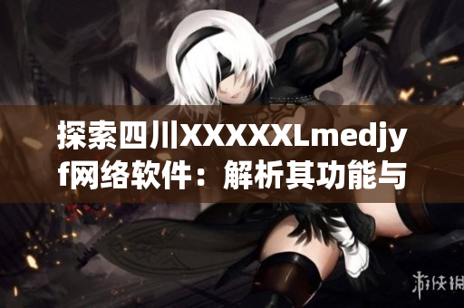 探索四川XXXXXLmedjyf网络软件：解析其功能与特点