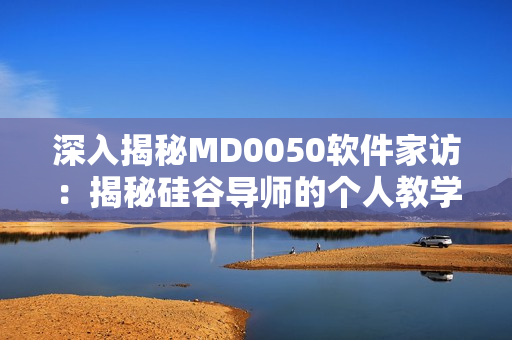 深入揭秘MD0050软件家访：揭秘硅谷导师的个人教学风格