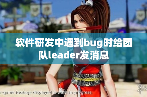 软件研发中遇到bug时给团队leader发消息