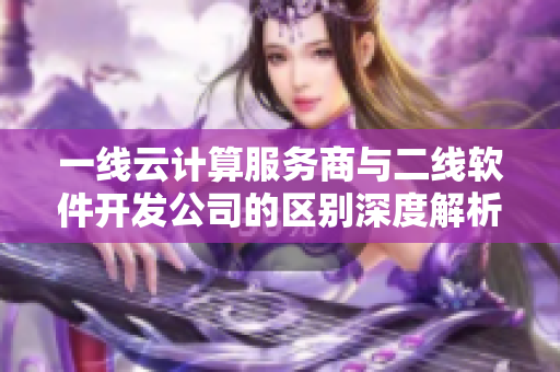 一线云计算服务商与二线软件开发公司的区别深度解析