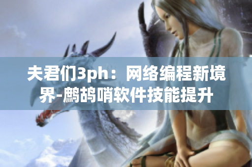 夫君们3ph：网络编程新境界-鹧鸪哨软件技能提升